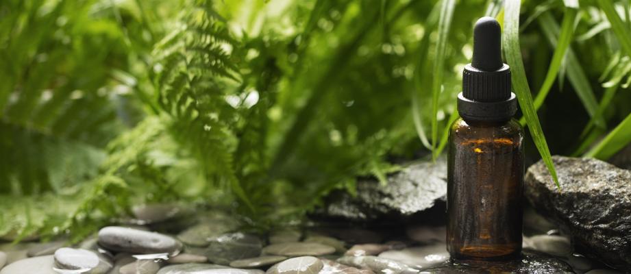 Использование растительных экстрактов в косметике: топ-7 востребованных растений и их свойства